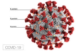 Coronavirus (COVID-19) And Its Preventive Measures